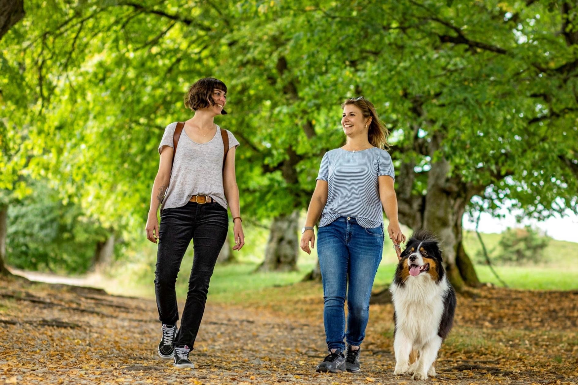 Zwei Frauen mit Hund spazieren auf dem Pfad zum Ipf-Gipfel