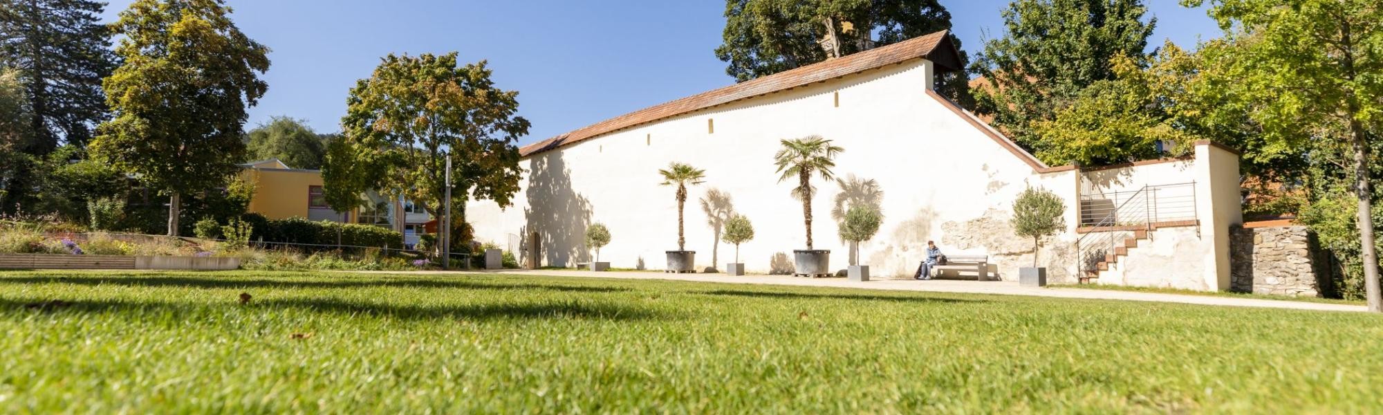 Restaurierte Stadtmaueransicht im Stadtgarten Die aus dem Stadtgarten sichtbare restaurierte Stadtmaueransicht