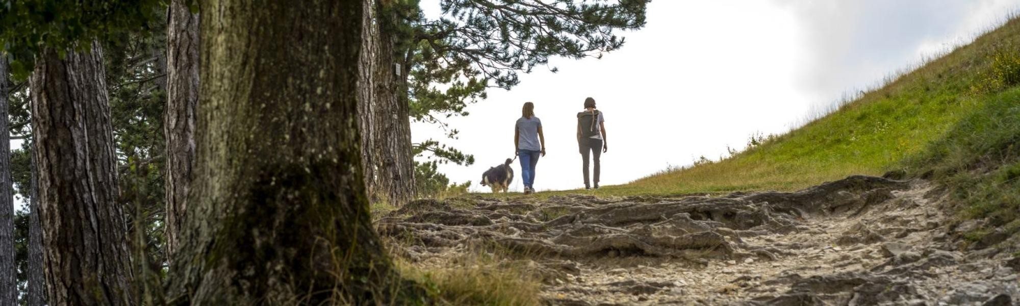 Zwei weibliche Wanderer mit Hund auf dem Weg zum Ipf-Plateau