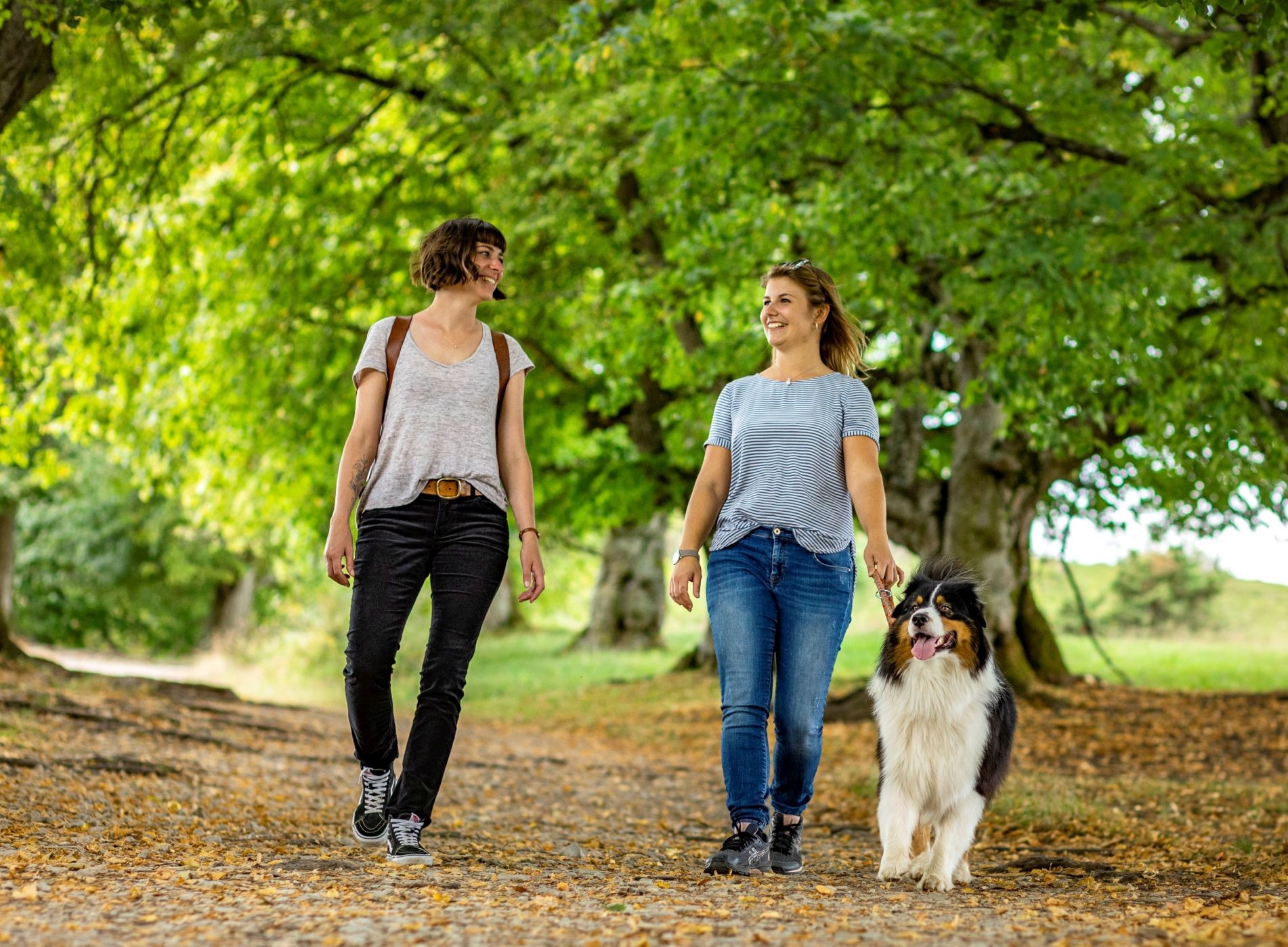 Zwei Frauen mit Hund spazieren auf dem Pfad zum Ipf-Gipfel