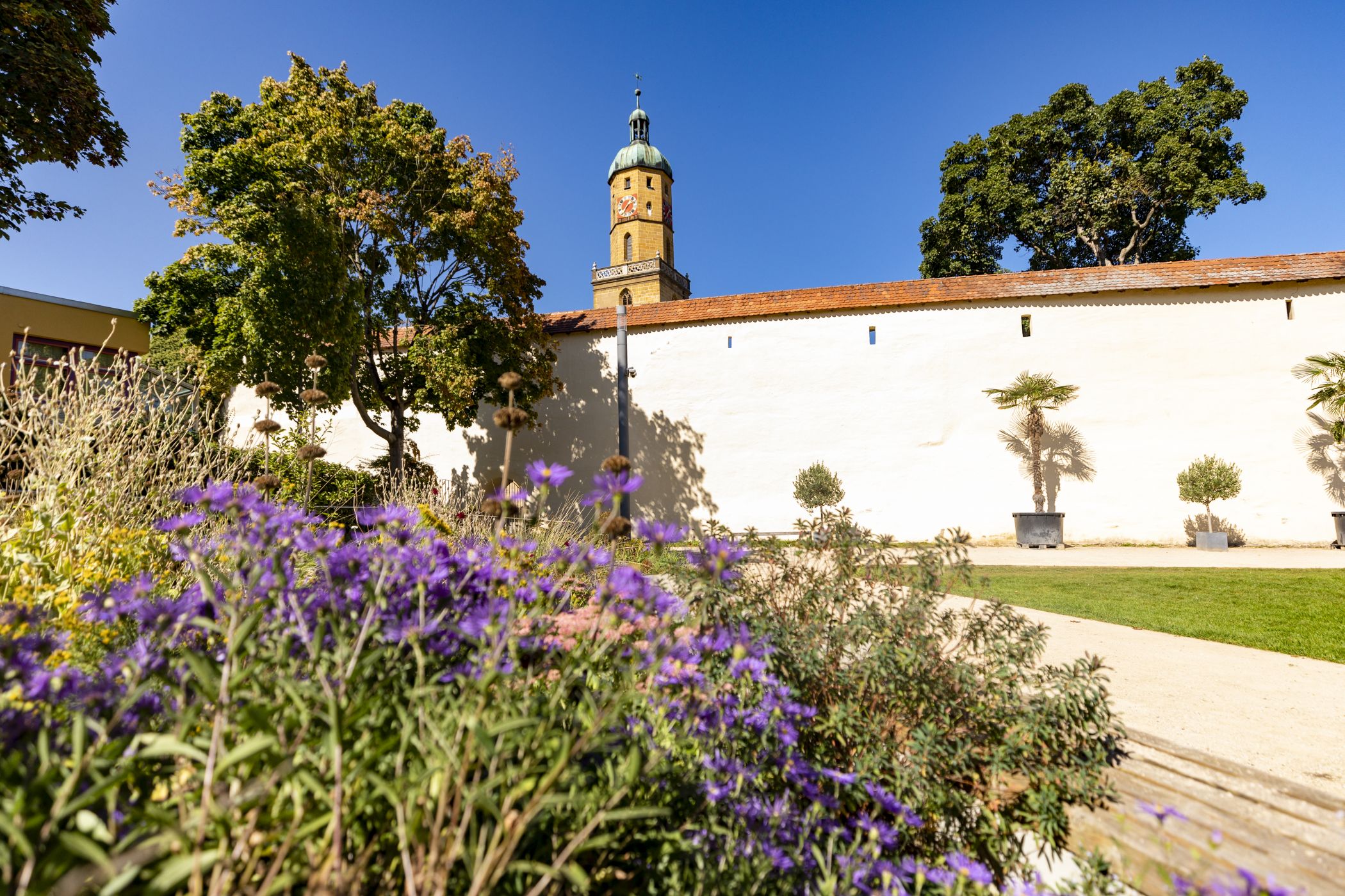 Blick aus dem Bopfinger Stadtgarten auf die Stadtmauer mit der Stadtkirche im Hintergrund